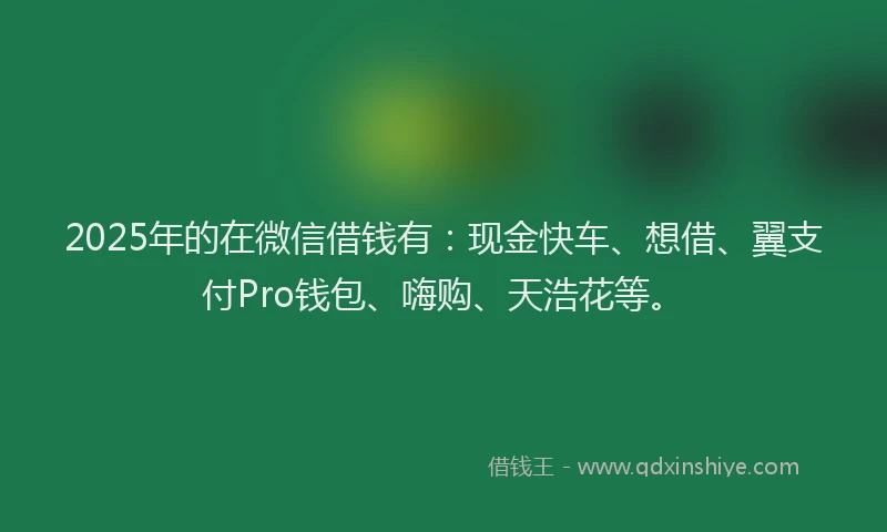2025年的在微信借钱有：现金快车、想借、翼支付Pro钱包、嗨购、天浩花等。
