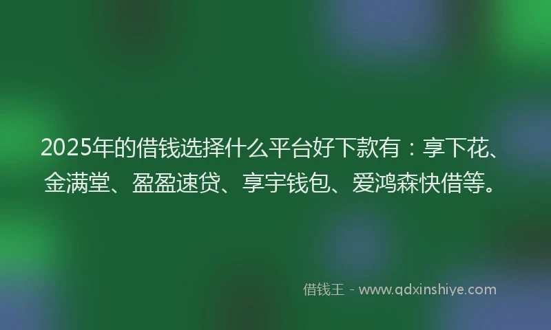 2025年的借钱选择什么平台好下款有：享下花、金满堂、盈盈速贷、享宇钱包、爱鸿森快借等。