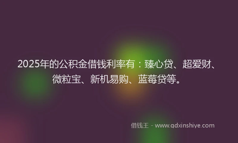 2025年的公积金借钱利率有：臻心贷、超爱财、微粒宝、新机易购、蓝莓贷等。