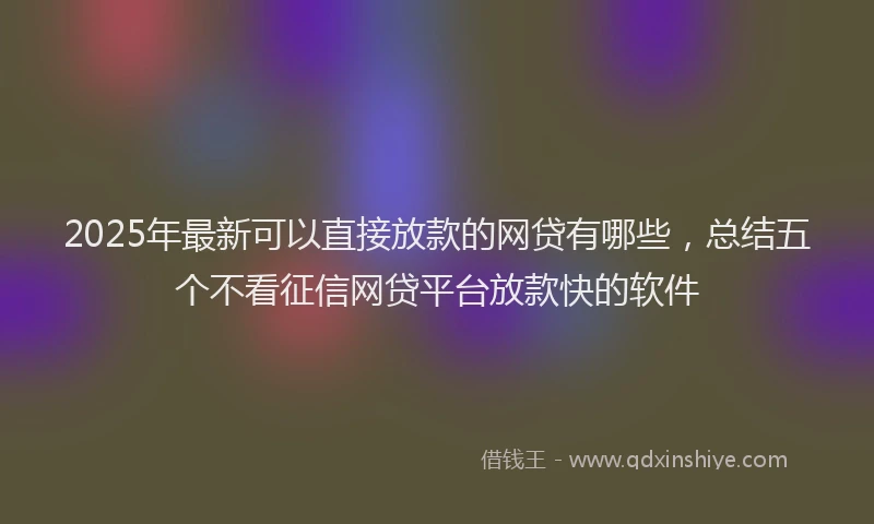 2025年最新可以直接放款的网贷有哪些，总结五个不看征信网贷平台放款快的软件