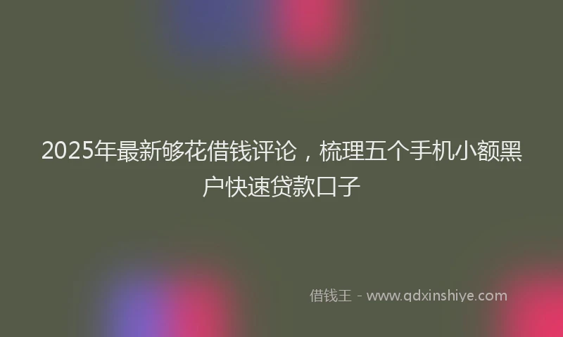2025年最新够花借钱评论，梳理五个手机小额黑户快速贷款口子