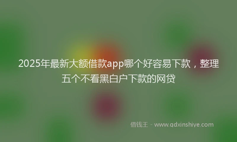 2025年最新大额借款app哪个好容易下款，整理五个不看黑白户下款的网贷