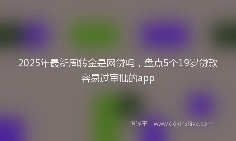 2025年最新周转金是网贷吗，盘点5个19岁贷款容易过审批的app