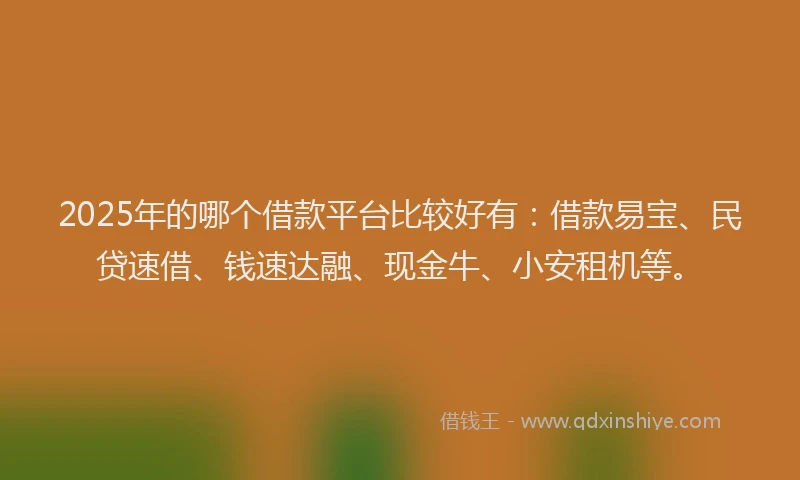 2025年的哪个借款平台比较好有：借款易宝、民贷速借、钱速达融、现金牛、小安租机等。