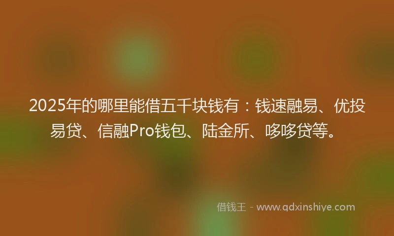 2025年的哪里能借五千块钱有：钱速融易、优投易贷、信融Pro钱包、陆金所、哆哆贷等。