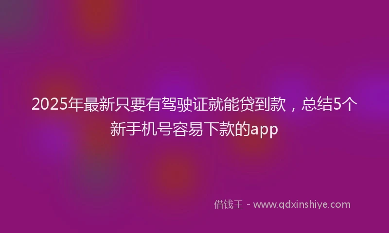 2025年最新只要有驾驶证就能贷到款，总结5个新手机号容易下款的app