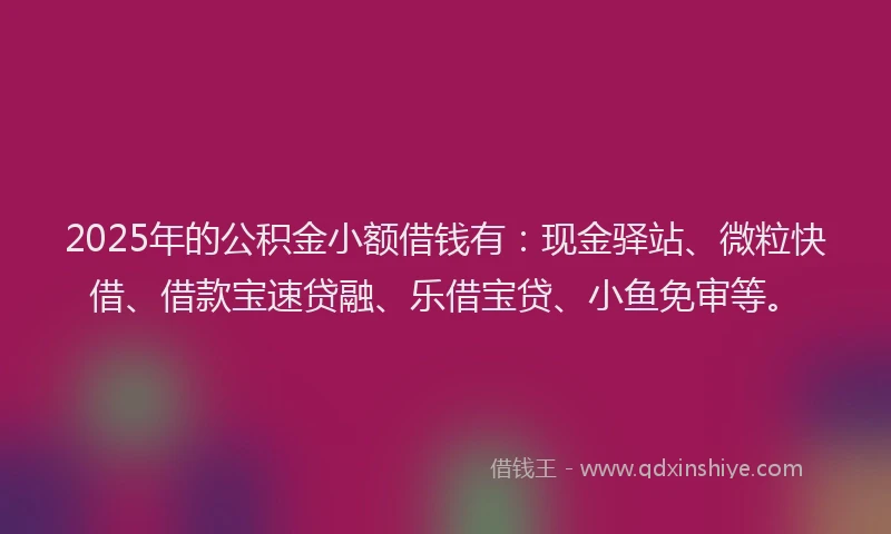 2025年的公积金小额借钱有：现金驿站、微粒快借、借款宝速贷融、乐借宝贷、小鱼免审等。