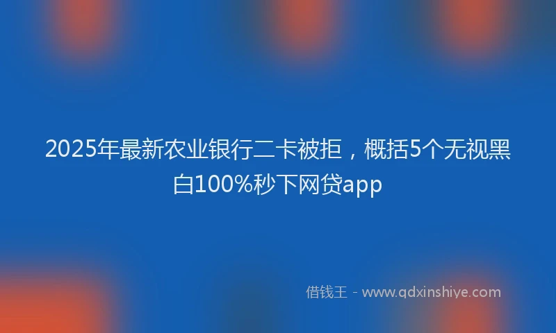 2025年最新农业银行二卡被拒，概括5个无视黑白100%秒下网贷app