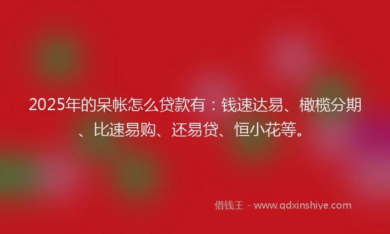 2025年的呆帐怎么贷款有：钱速达易、橄榄分期、比速易购、还易贷、恒小花等。