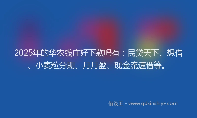 2025年的华农钱庄好下款吗有：民贷天下、想借、小麦粒分期、月月盈、现金流速借等。