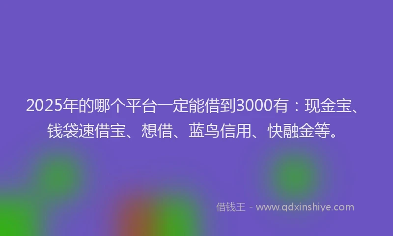2025年的哪个平台一定能借到3000有：现金宝、钱袋速借宝、想借、蓝鸟信用、快融金等。