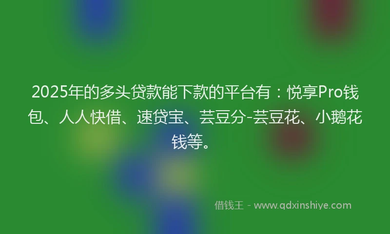 2025年的多头贷款能下款的平台有：悦享Pro钱包、人人快借、速贷宝、芸豆分-芸豆花、小鹅花钱等。