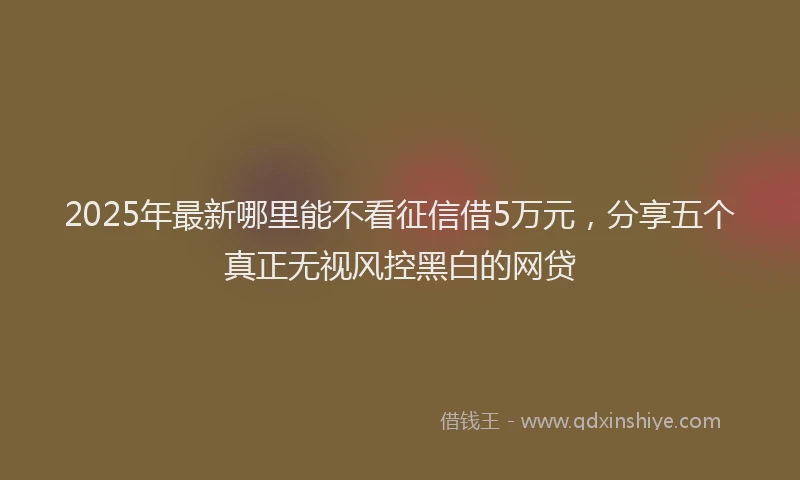 2025年最新哪里能不看征信借5万元，分享五个真正无视风控黑白的网贷