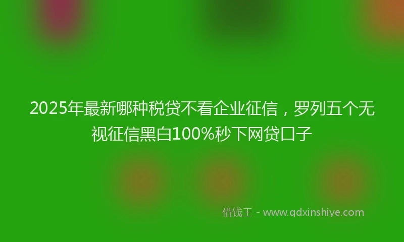 2025年最新哪种税贷不看企业征信，罗列五个无视征信黑白100%秒下网贷口子