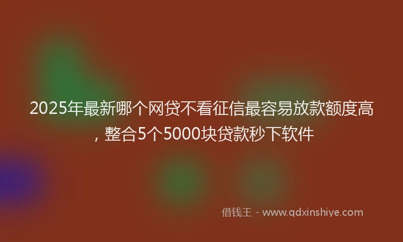 2025年最新哪个网贷不看征信最容易放款额度高，整合5个5000块贷款秒下软件