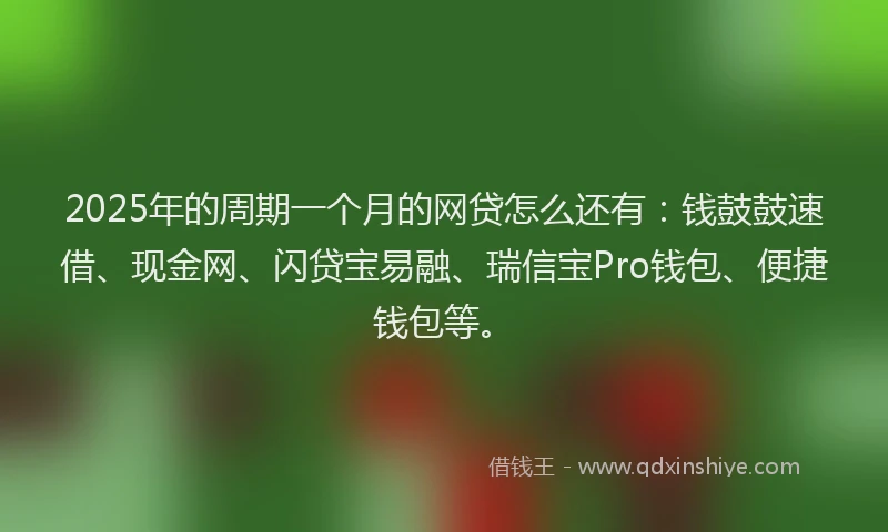 2025年的周期一个月的网贷怎么还有：钱鼓鼓速借、现金网、闪贷宝易融、瑞信宝Pro钱包、便捷钱包等。