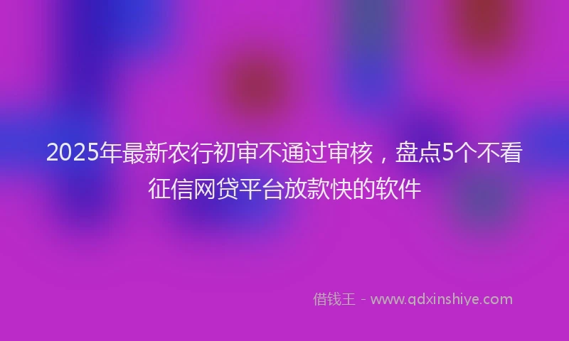 2025年最新农行初审不通过审核，盘点5个不看征信网贷平台放款快的软件