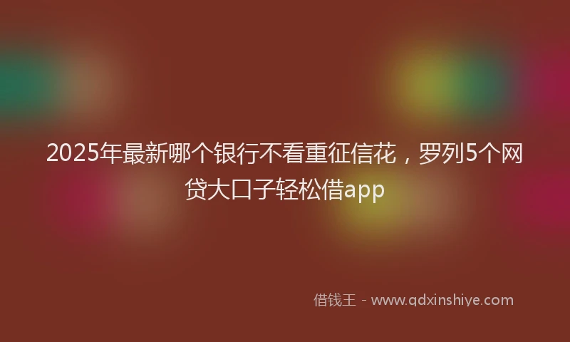 2025年最新哪个银行不看重征信花，罗列5个网贷大口子轻松借app