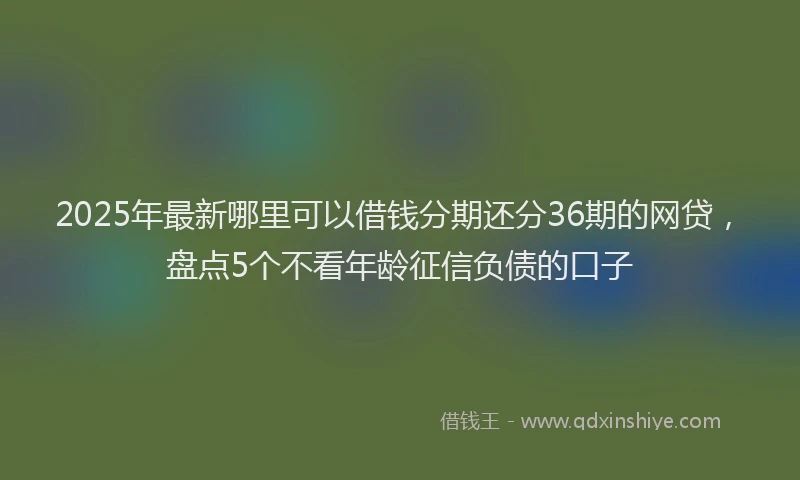 2025年最新哪里可以借钱分期还分36期的网贷，盘点5个不看年龄征信负债的口子