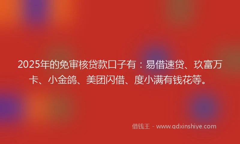 2025年的免审核贷款口子有：易借速贷、玖富万卡、小金鸽、美团闪借、度小满有钱花等。