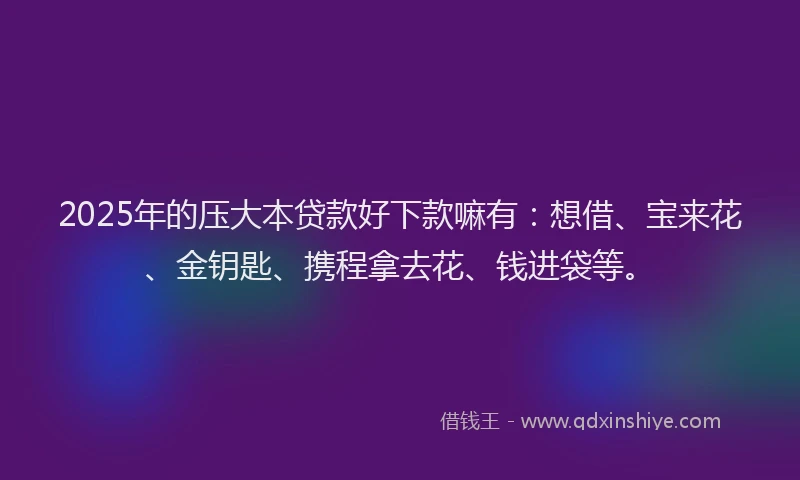 2025年的压大本贷款好下款嘛有：想借、宝来花、金钥匙、携程拿去花、钱进袋等。