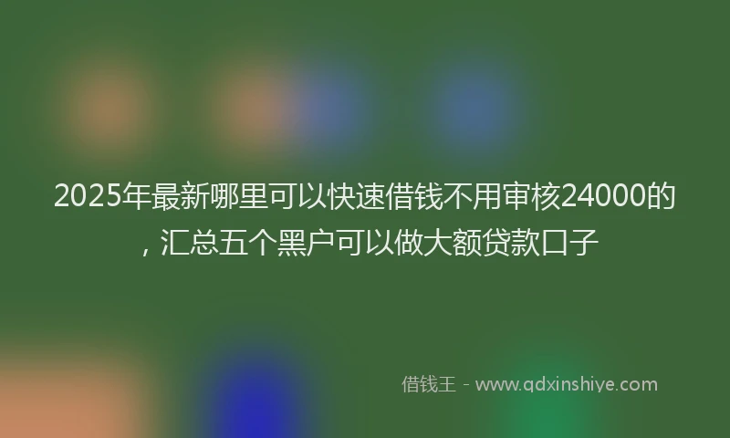 2025年最新哪里可以快速借钱不用审核24000的，汇总五个黑户可以做大额贷款口子