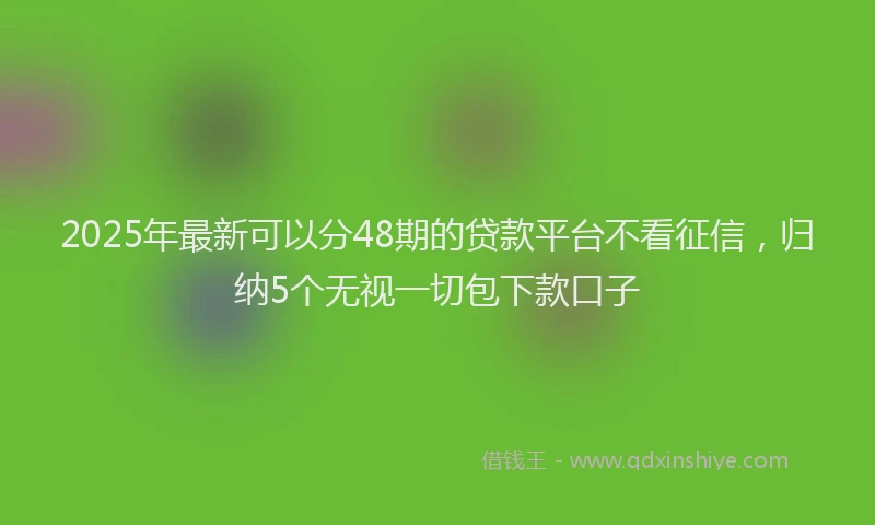 2025年最新可以分48期的贷款平台不看征信，归纳5个无视一切包下款口子