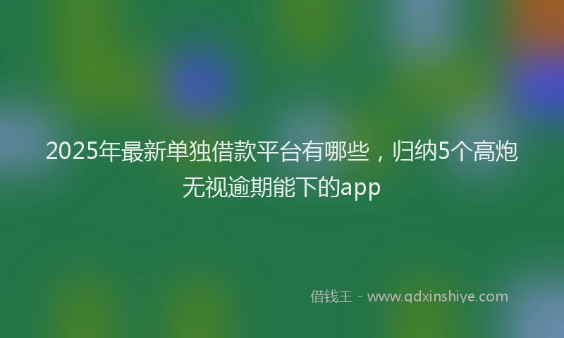 2025年最新单独借款平台有哪些，归纳5个高炮无视逾期能下的app