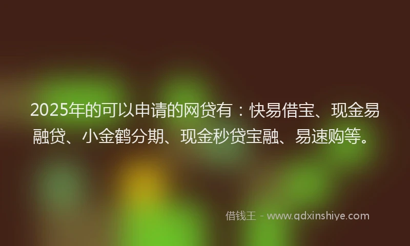 2025年的可以申请的网贷有：快易借宝、现金易融贷、小金鹤分期、现金秒贷宝融、易速购等。