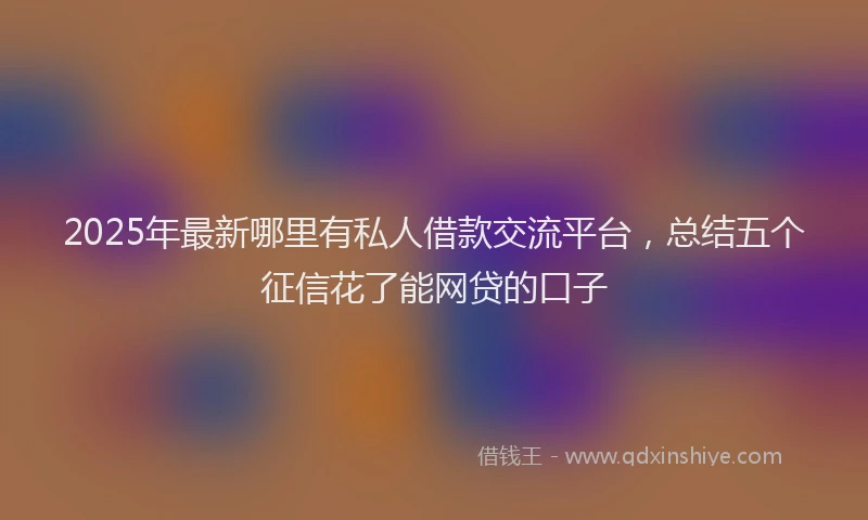 2025年最新哪里有私人借款交流平台，总结五个征信花了能网贷的口子