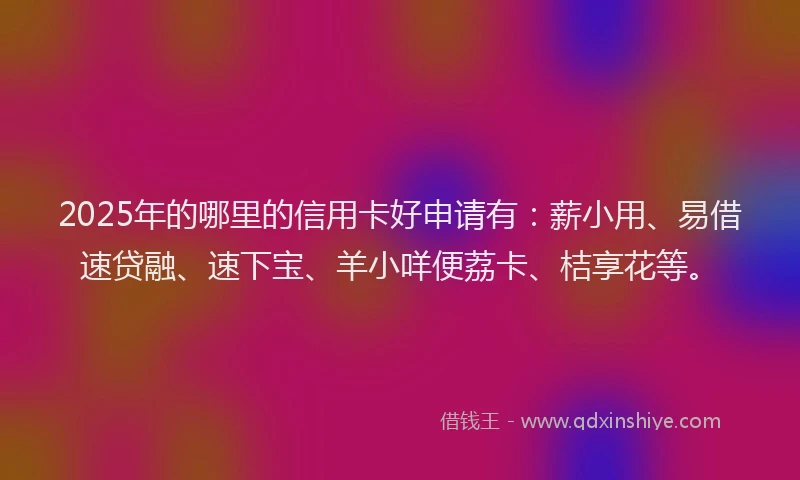 2025年的哪里的信用卡好申请有：薪小用、易借速贷融、速下宝、羊小咩便荔卡、桔享花等。