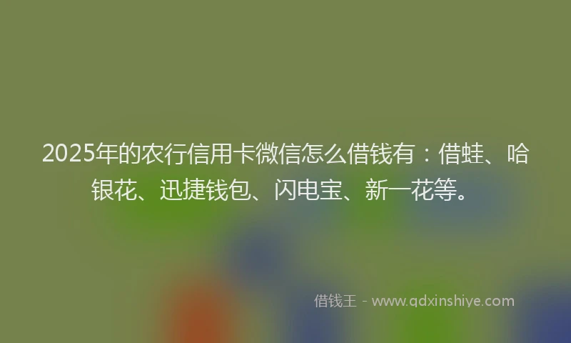 2025年的农行信用卡微信怎么借钱有：借蛙、哈银花、迅捷钱包、闪电宝、新一花等。