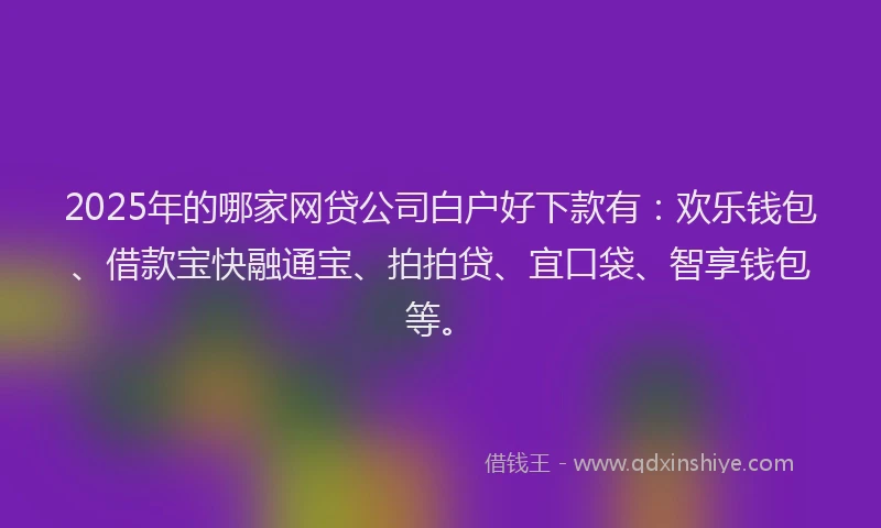 2025年的哪家网贷公司白户好下款有：欢乐钱包、借款宝快融通宝、拍拍贷、宜口袋、智享钱包等。
