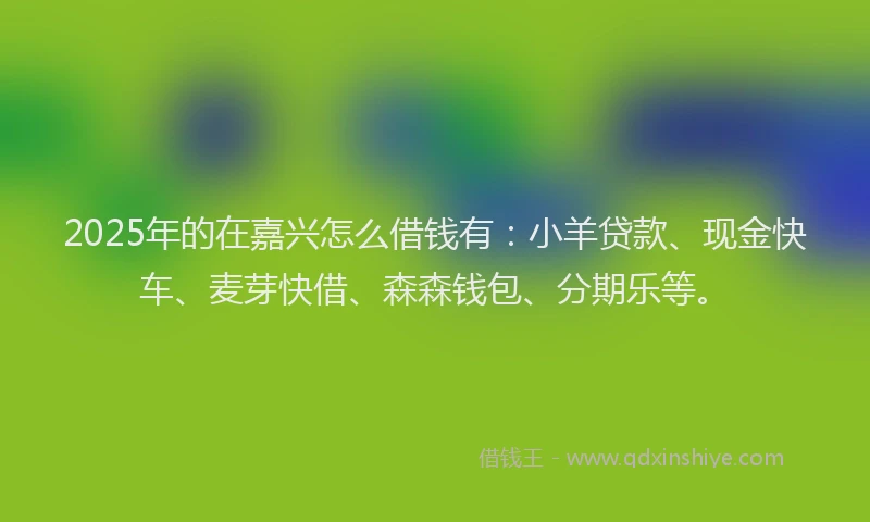 2025年的在嘉兴怎么借钱有：小羊贷款、现金快车、麦芽快借、森森钱包、分期乐等。