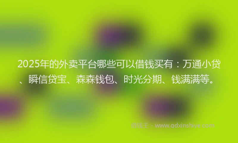 2025年的外卖平台哪些可以借钱买有：万通小贷、瞬信贷宝、森森钱包、时光分期、钱满满等。