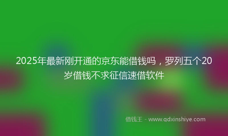 2025年最新刚开通的京东能借钱吗，罗列五个20岁借钱不求征信速借软件