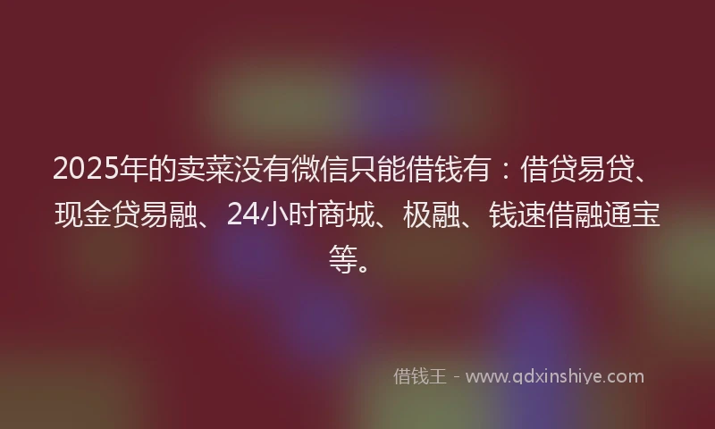 2025年的卖菜没有微信只能借钱有：借贷易贷、现金贷易融、24小时商城、极融、钱速借融通宝等。