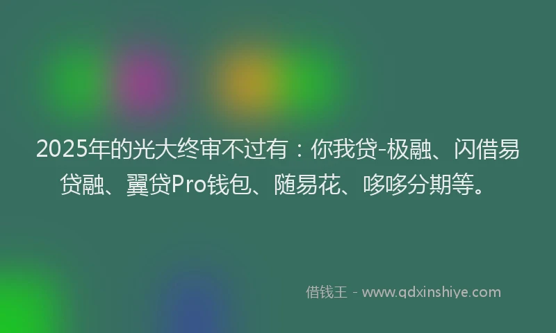 2025年的光大终审不过有：你我贷-极融、闪借易贷融、翼贷Pro钱包、随易花、哆哆分期等。