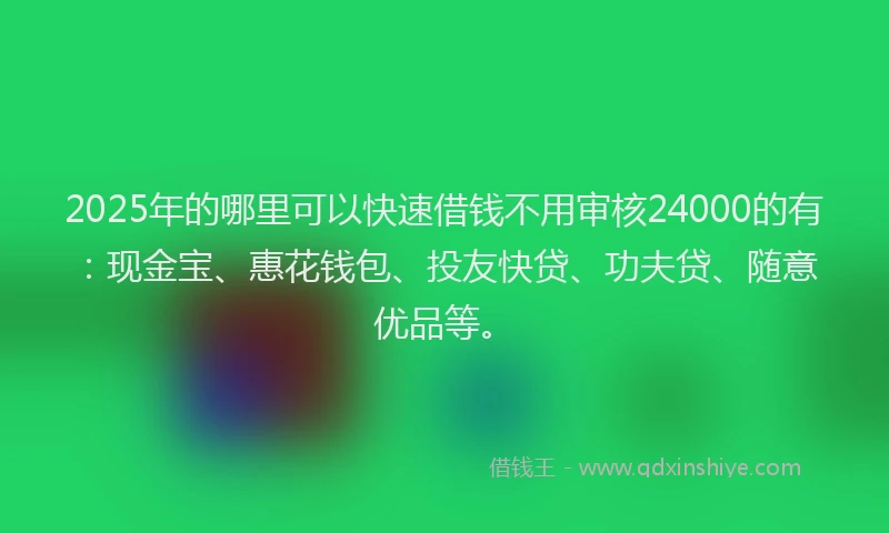 2025年的哪里可以快速借钱不用审核24000的有：现金宝、惠花钱包、投友快贷、功夫贷、随意优品等。