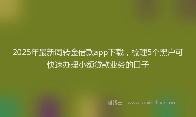 2025年最新周转金借款app下载，梳理5个黑户可快速办理小额贷款业务的口子