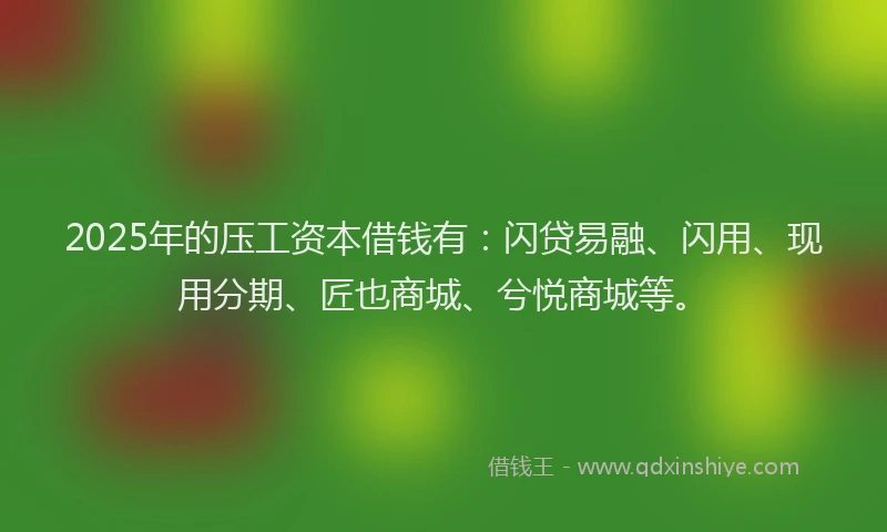 2025年的压工资本借钱有：闪贷易融、闪用、现用分期、匠也商城、兮悦商城等。