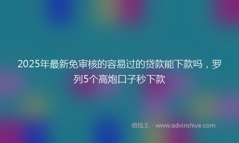 2025年最新免审核的容易过的贷款能下款吗，罗列5个高炮口子秒下款