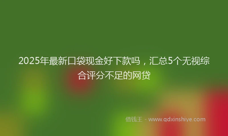 2025年最新口袋现金好下款吗，汇总5个无视综合评分不足的网贷
