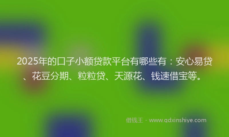 2025年的口子小额贷款平台有哪些有：安心易贷、花豆分期、粒粒贷、天源花、钱速借宝等。
