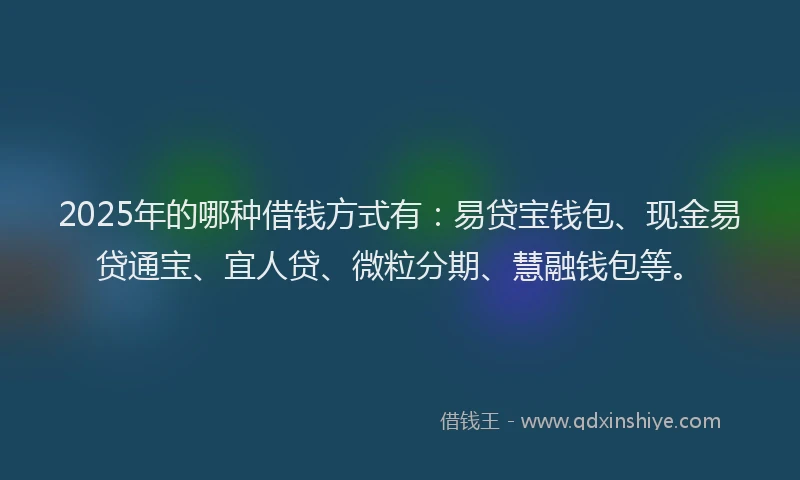 2025年的哪种借钱方式有：易贷宝钱包、现金易贷通宝、宜人贷、微粒分期、慧融钱包等。