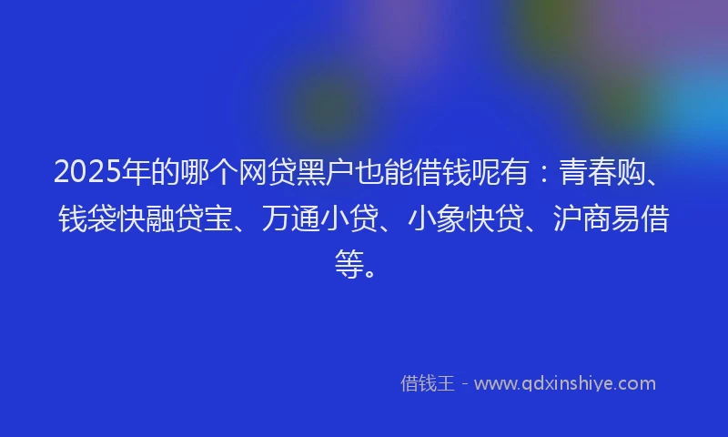 2025年的哪个网贷黑户也能借钱呢有：青春购、钱袋快融贷宝、万通小贷、小象快贷、沪商易借等。