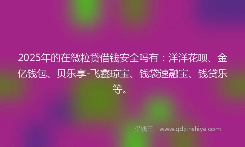 2025年的在微粒贷借钱安全吗有：洋洋花呗、金亿钱包、贝乐享-飞鑫琼宝、钱袋速融宝、钱贷乐等。