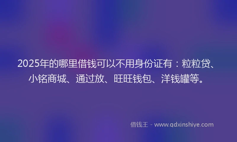 2025年的哪里借钱可以不用身份证有：粒粒贷、小铭商城、通过放、旺旺钱包、洋钱罐等。