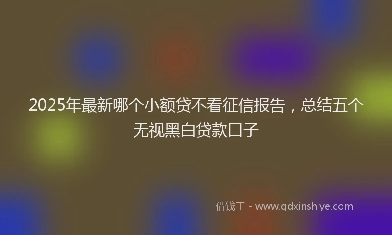 2025年最新哪个小额贷不看征信报告，总结五个无视黑白贷款口子