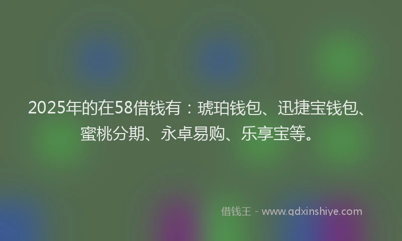 2025年的在58借钱有：琥珀钱包、迅捷宝钱包、蜜桃分期、永卓易购、乐享宝等。
